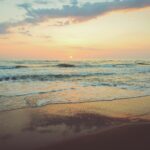Beach Clean-Up Events: How to Get Involved